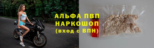 спиды Магас