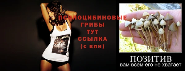 спиды Магас