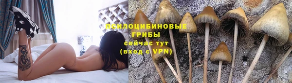 PSILOCYBIN Магадан