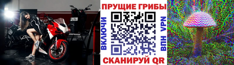 ОМГ ОМГ сайт  дарнет шоп  Николаевск-на-Амуре  Псилоцибиновые грибы ЛСД 